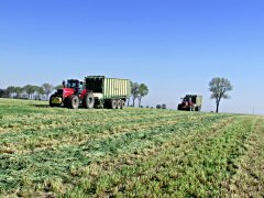 2x Massey Ferguson 8170 & Krone ZX 450/550 GD