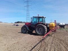 Massey 6160 i akcja groch