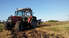 Massey Ferguson 6140 + Rabe Werk