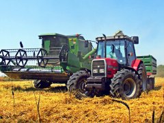 Massey Ferguson 6140