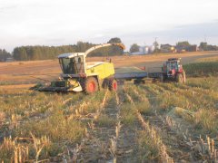 Massey ferguson 6150 + Claas jaguar 830