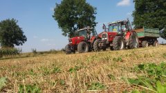 Massey Ferguson 6180 & Massey Ferguson 8220