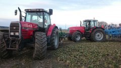 Massey Ferguson 6190 & 8150