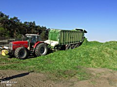 Massey Ferguson 8170&Krone ZX550 GD