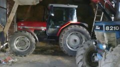 Massey Ferguson i Ford