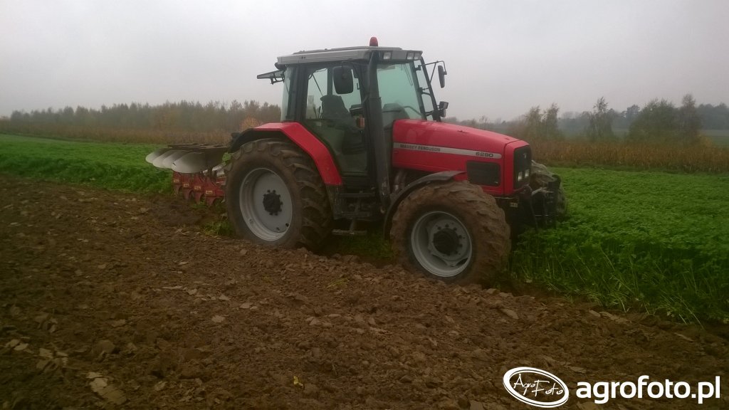 Massey Ferguson 6290 & Goizin