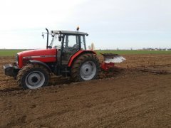 Massey Ferguson i Unia IBIS XXL