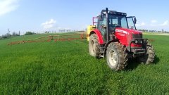 Massey Ferguson 5425 + Pilmet 815