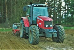 Massey Ferguson 5455 & Grano-System & Poznaniak