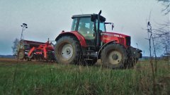 Massey Ferguson 5455 & Grano-System & Poznaniak