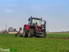 Massey Ferguson 5455 & Vogel Noot M950