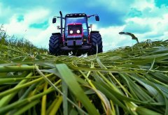 Massey Ferguson 5455