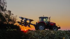 Massey Ferguson 5455