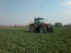 Massey Ferguson 6470 + Tad-len 815