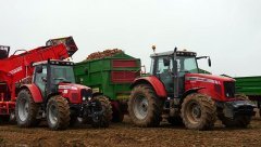 Massey Ferguson 6480