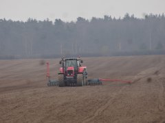 Massey Ferguson 7495 & Sulky REGULINE solo