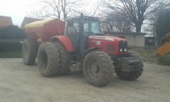 MF 6495 + Bredal
