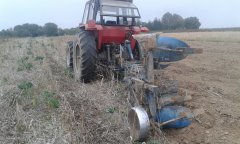 Massey Ferguson 1134 & RabeWerk