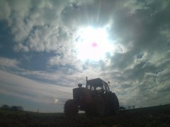 Massey Ferguson 1134