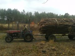 Massey Ferguson 142