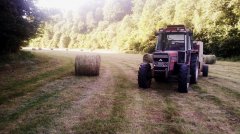 Massey Ferguson 294S + Arobale 1212SX