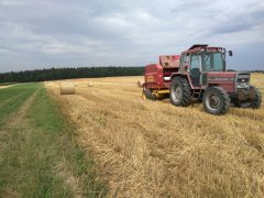 Massey Ferguson 294S + New Holland 548