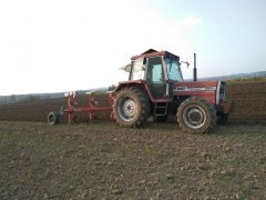 Massey Ferguson 294S + Vogel&Noot