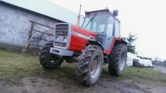 Massey Ferguson 294s