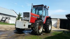 Massey Ferguson 294s