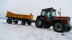 Massey Ferguson 294s