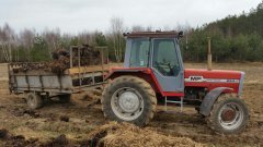 Massey Ferguson 294s