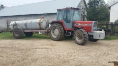 Massey Ferguson 294s