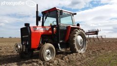 Massey Ferguson 565 + brony