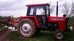 Massey Ferguson 565 i bovlund favorit