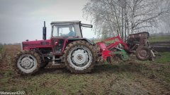 Massey Ferguson 595 & Agromasz + Poznaniak