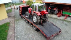 Massey Ferguson 698 na lawecie