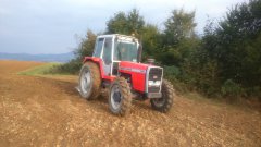 Massey Ferguson 698 & pług 4