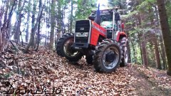 Massey Ferguson 698 w lesie