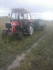 Massey Ferguson 235 i rozrzutnik 3,5 t