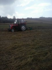 Massey Ferguson 235 i Uniagrudziądz 2