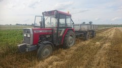 Massey Ferguson 240 + przyczepa