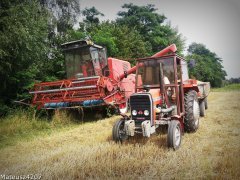 Massey Ferguson 255 & Bizon Z050