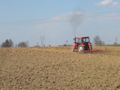 Massey Ferguson 255 & brony