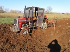 Massey Ferguson 255 & brony