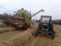 Massey Ferguson 255 & Claas Mercator 70