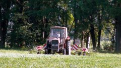 Massey Ferguson 255 + Fella