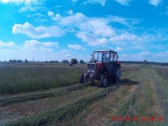 Massey Ferguson 255 i Famarol Z105/1