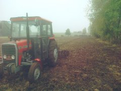 Massey Ferguson 255 + talerzówka Famarol Słupsk 2,2 m