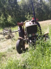 Massey ferguson 255 \u0026 słoneczko 5