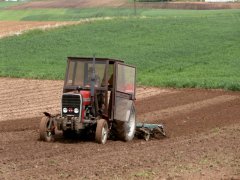 Massey ferguson 255 + UG 2,1m